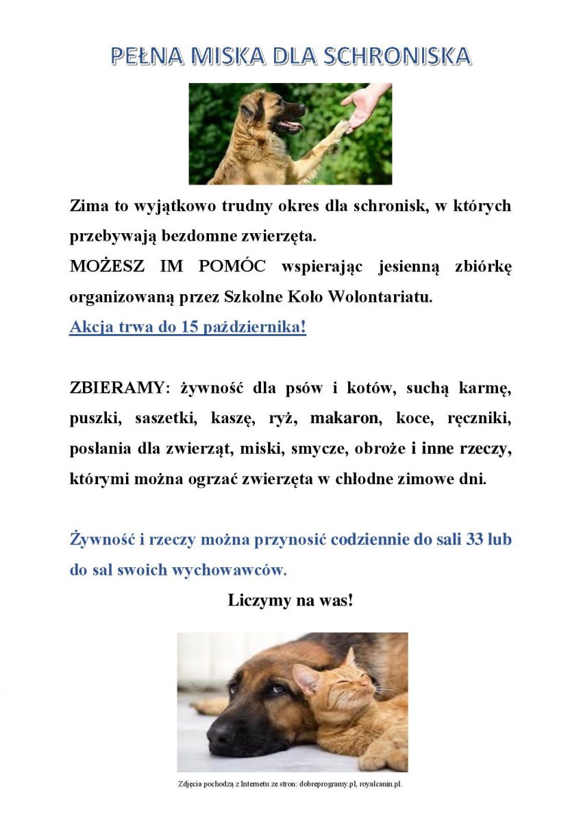Pełna miska dla schroniska - plakat promujacy i zachecający do zbiórki karmy dla psów i kotów ze schroniska 
